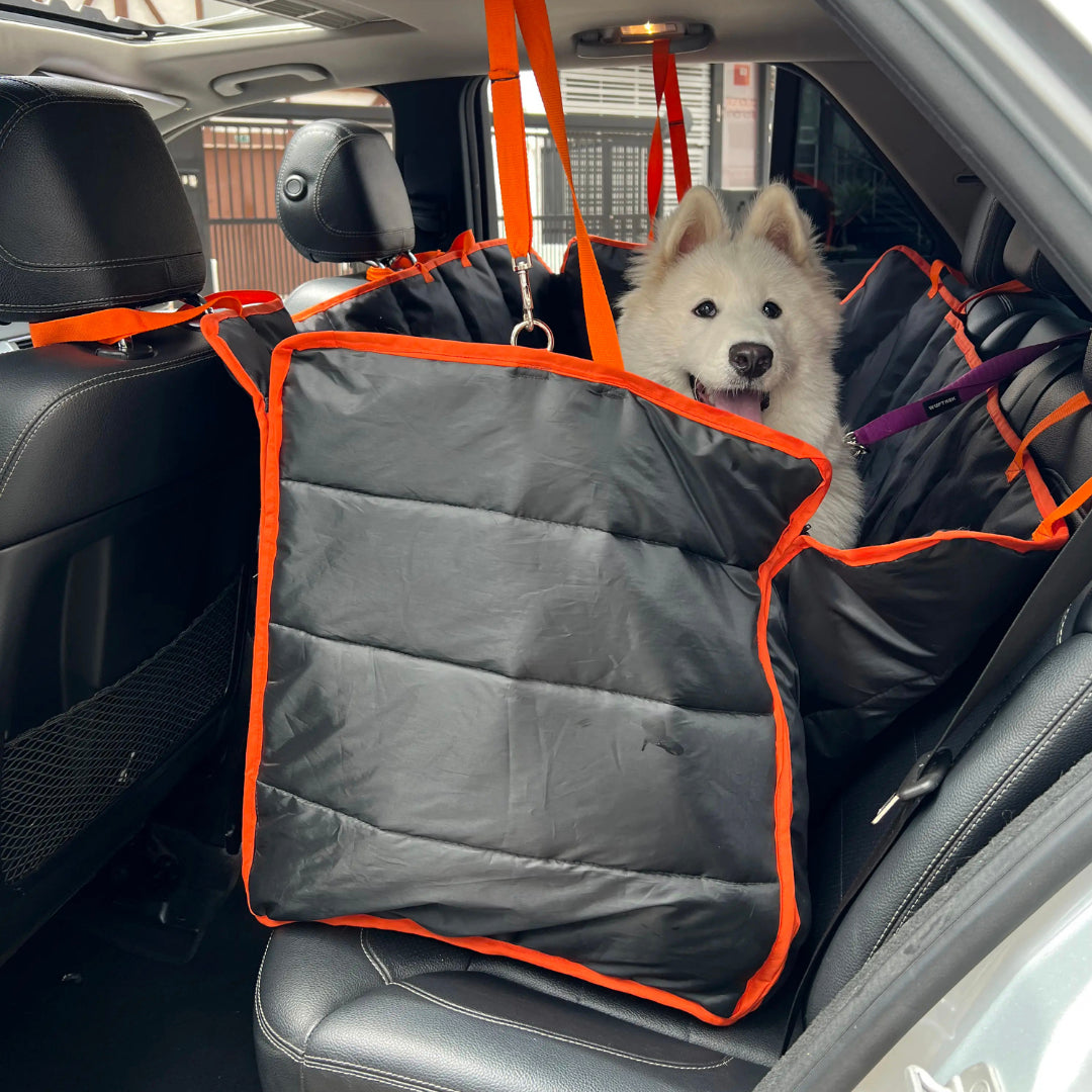 Cover Pets