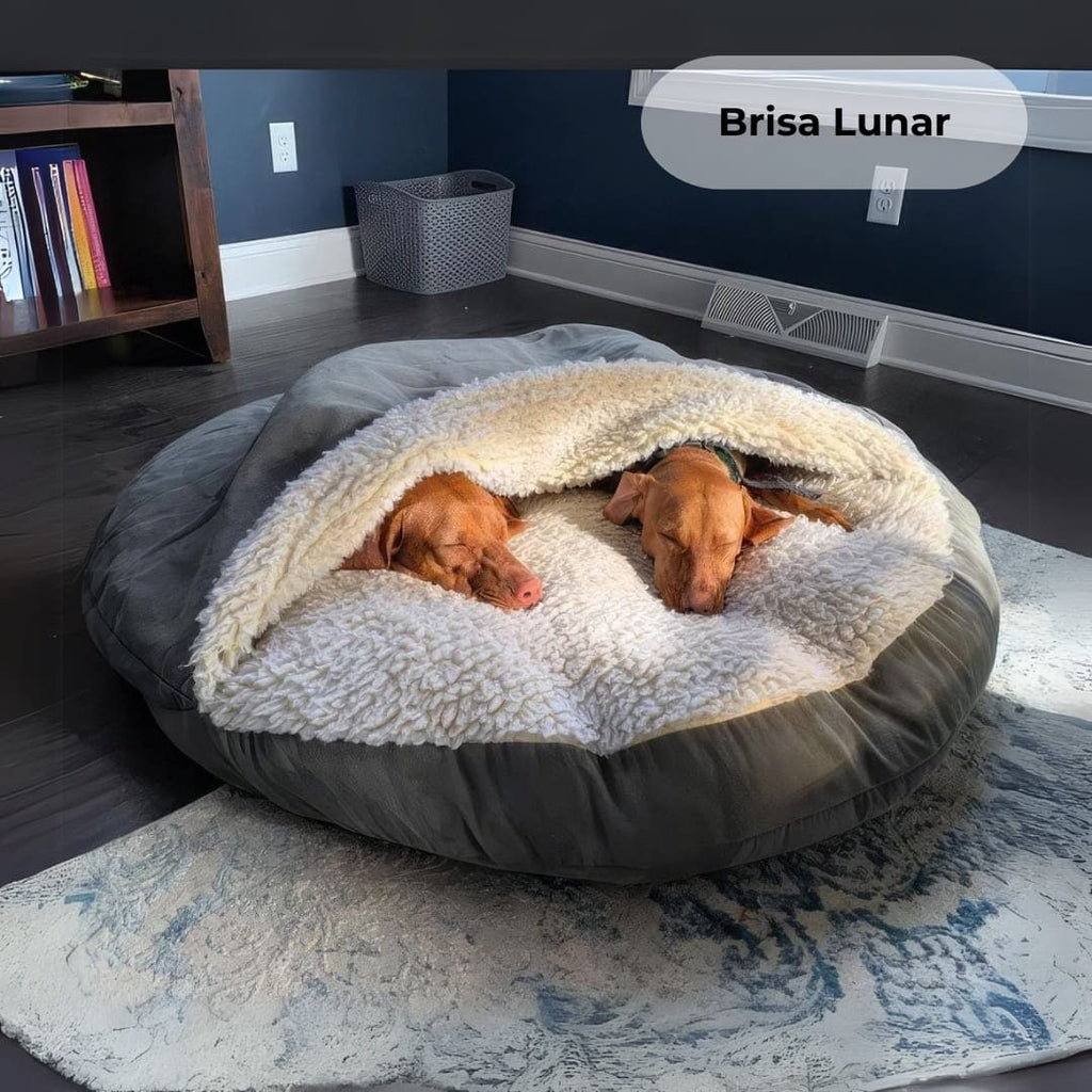 Sleeping Comfort