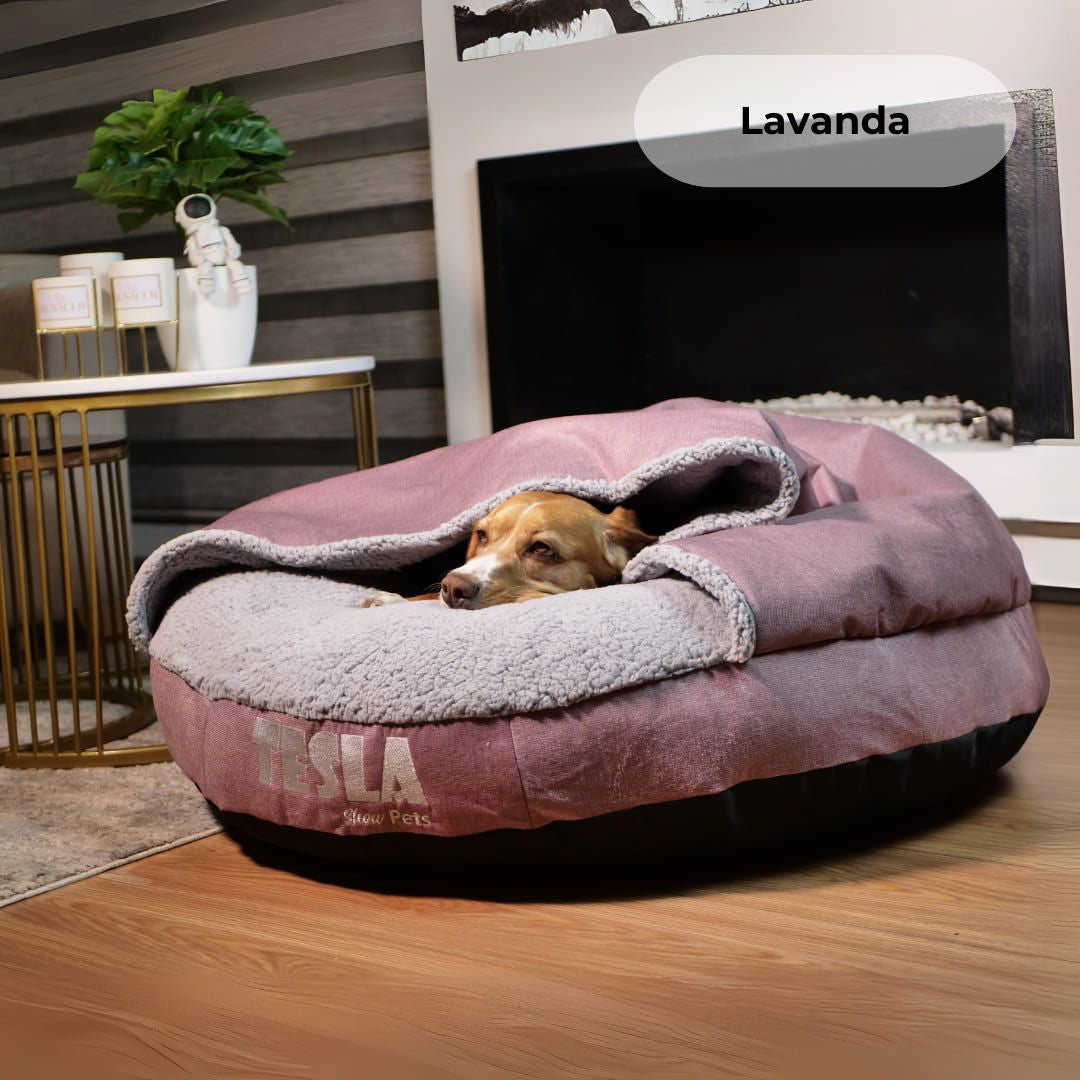 Sleeping Comfort