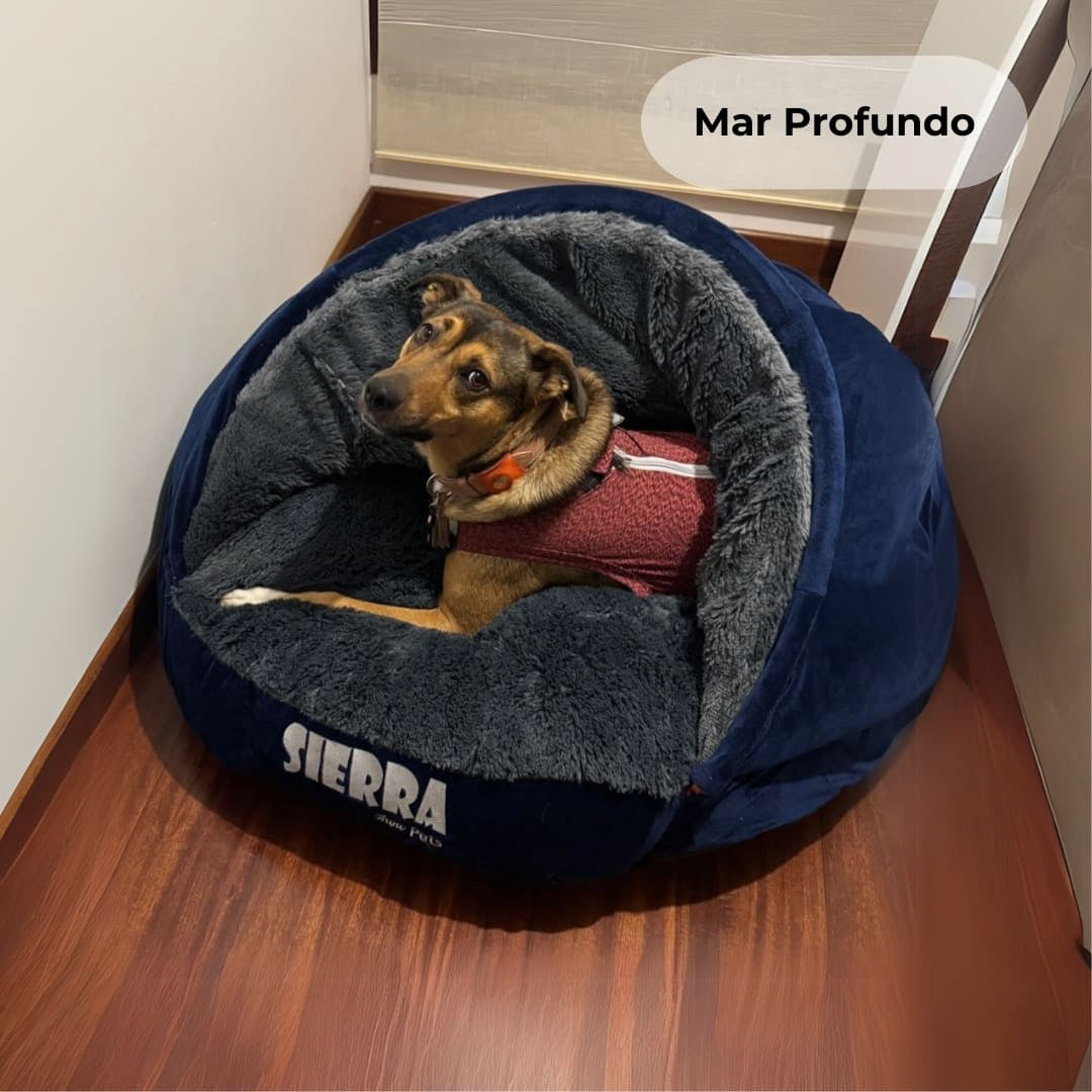 Sleeping Comfort