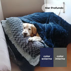Cama Dreams