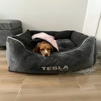 Box Comfort