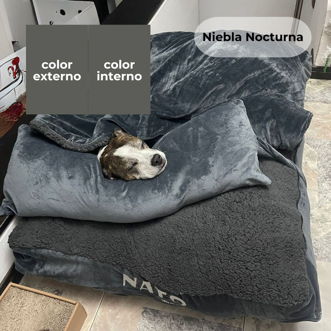 Cama Dreams