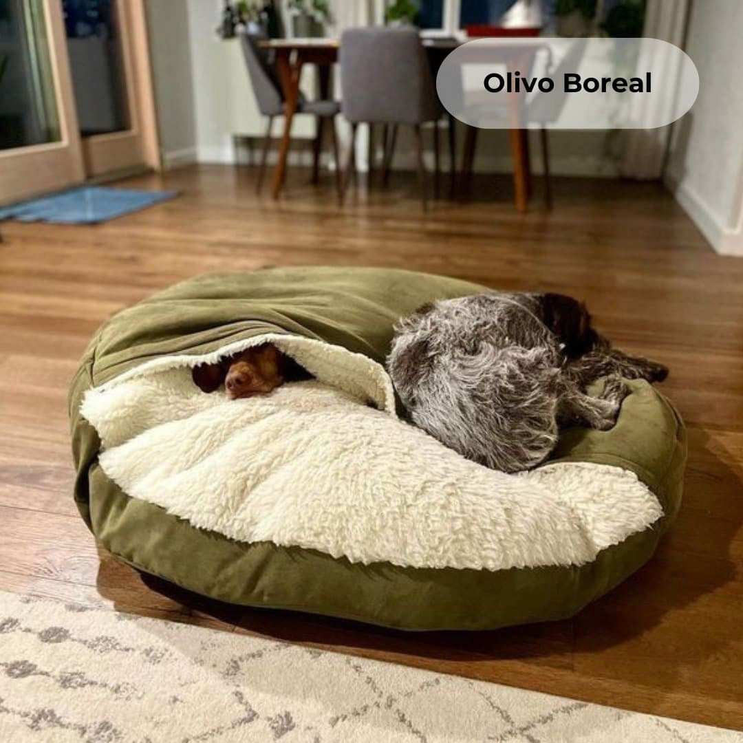 Sleeping Comfort