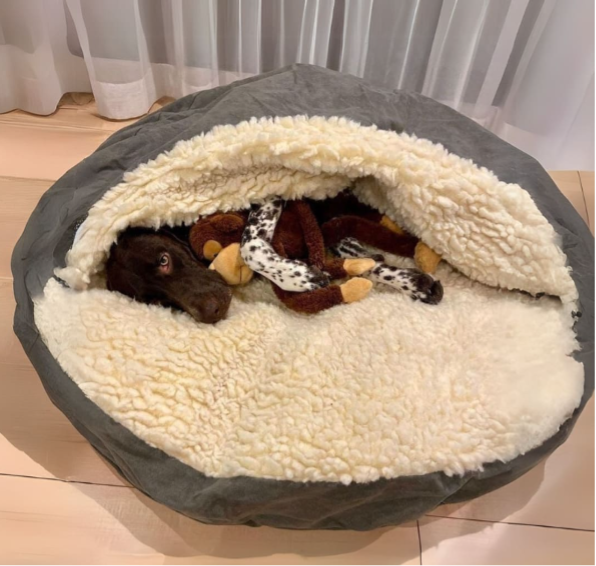 Sleeping Comfort