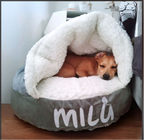 Sleeping Comfort