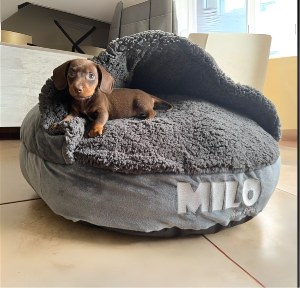 Sleeping Comfort