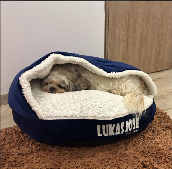 Sleeping Comfort