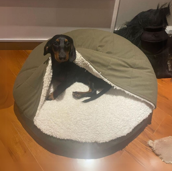 Sleeping Comfort