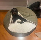 Sleeping Comfort