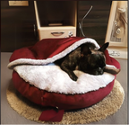Sleeping Comfort