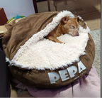 Sleeping Comfort