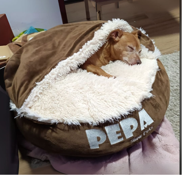 Sleeping Comfort