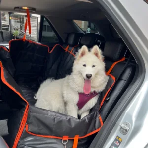 Cover Pets