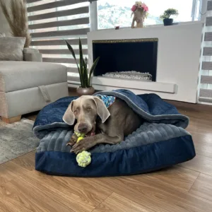 Sleeping Ortopédica Premium