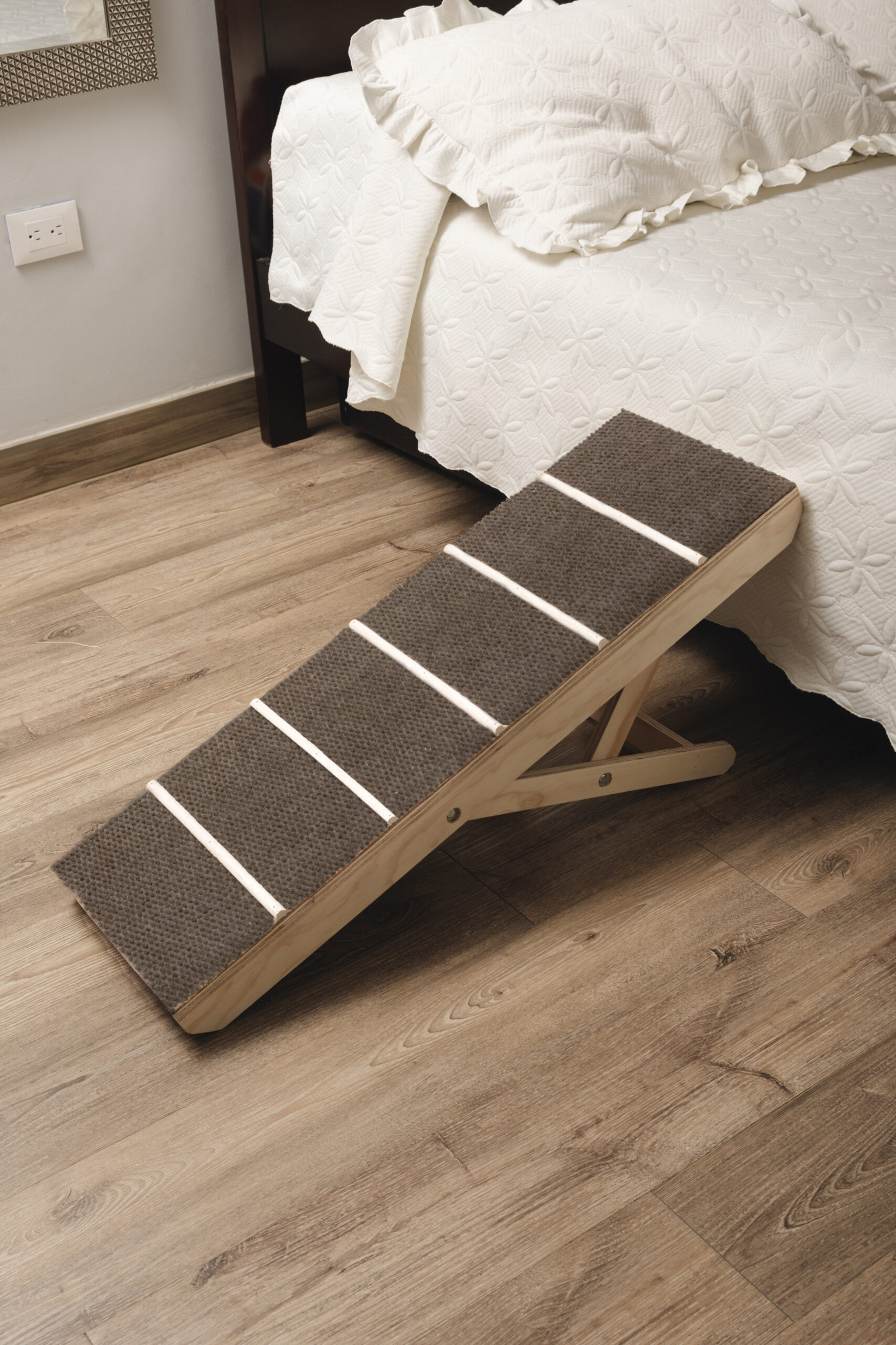 dindog-228 copia.jpg